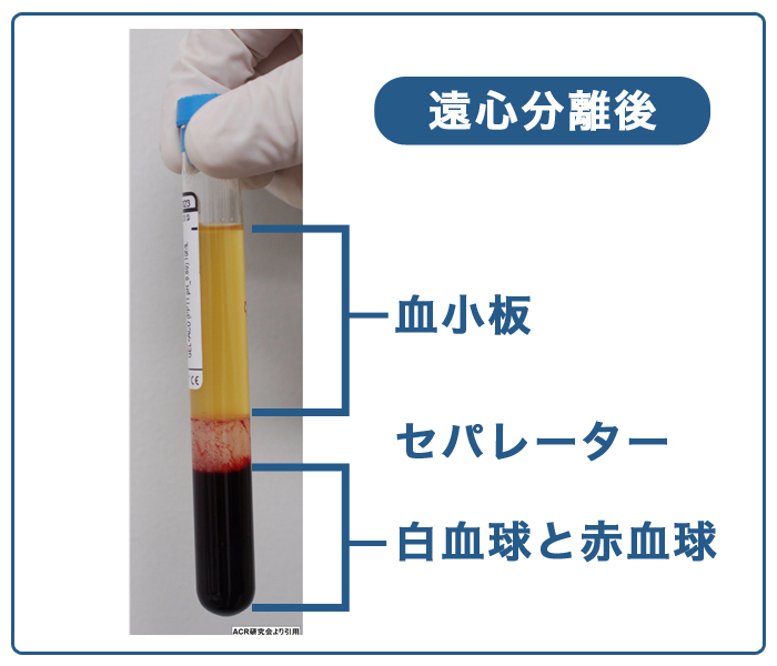 再生医療 ミューズシティクリニック Muse City Clinic